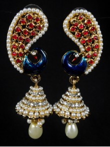 Fashion Earrings